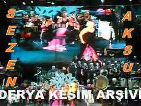 SEZEN AKSU AÇIKHAVA KONSERİ 3...........................................