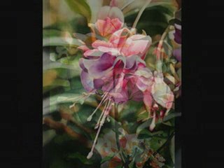 Kapıldım Gidiyorum (EnstrumentaL)