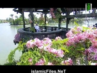 برنامج يوم فى الجنة الحلقة الثامنة