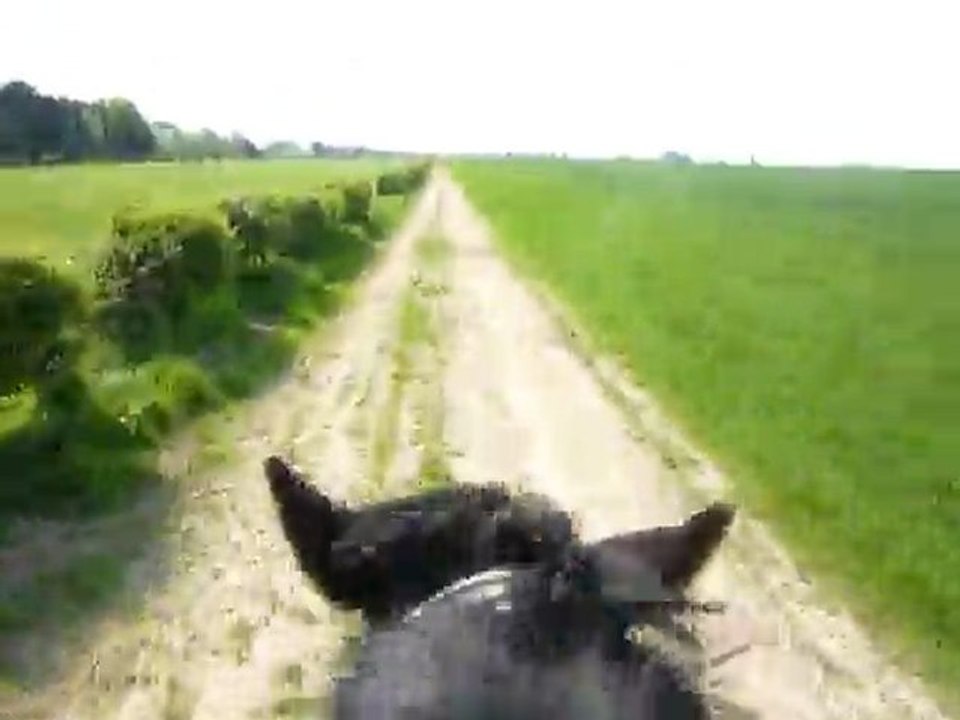 galop bubu sawyer