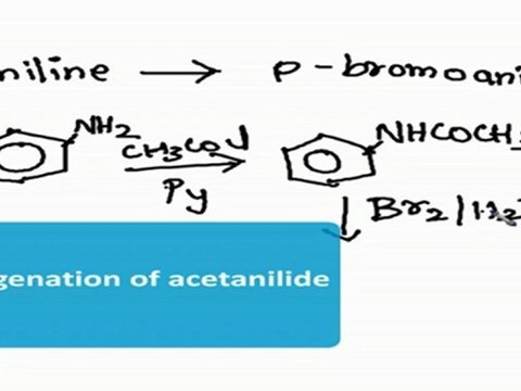 Organo Nitrogen Compounds - Conversion - 2