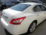 2009 Nissan Maxima for sale in Hickory NC - Used Nissan by EveryCarListed.com