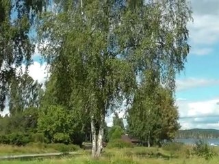 Dala-Floda in Sweden Dalecarlia 110814