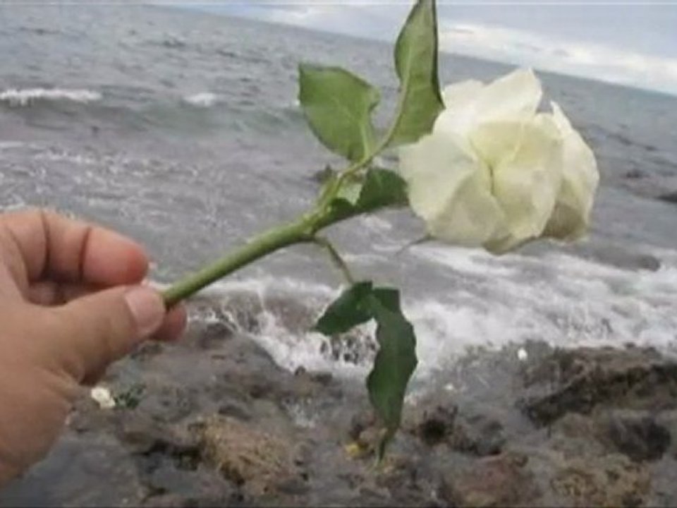 Białe róże-Blue Romantic