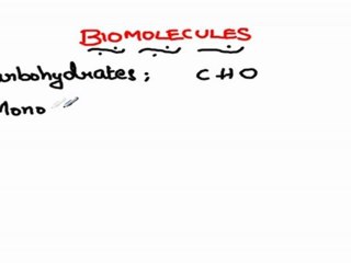 Carbohydrates mono saccharides