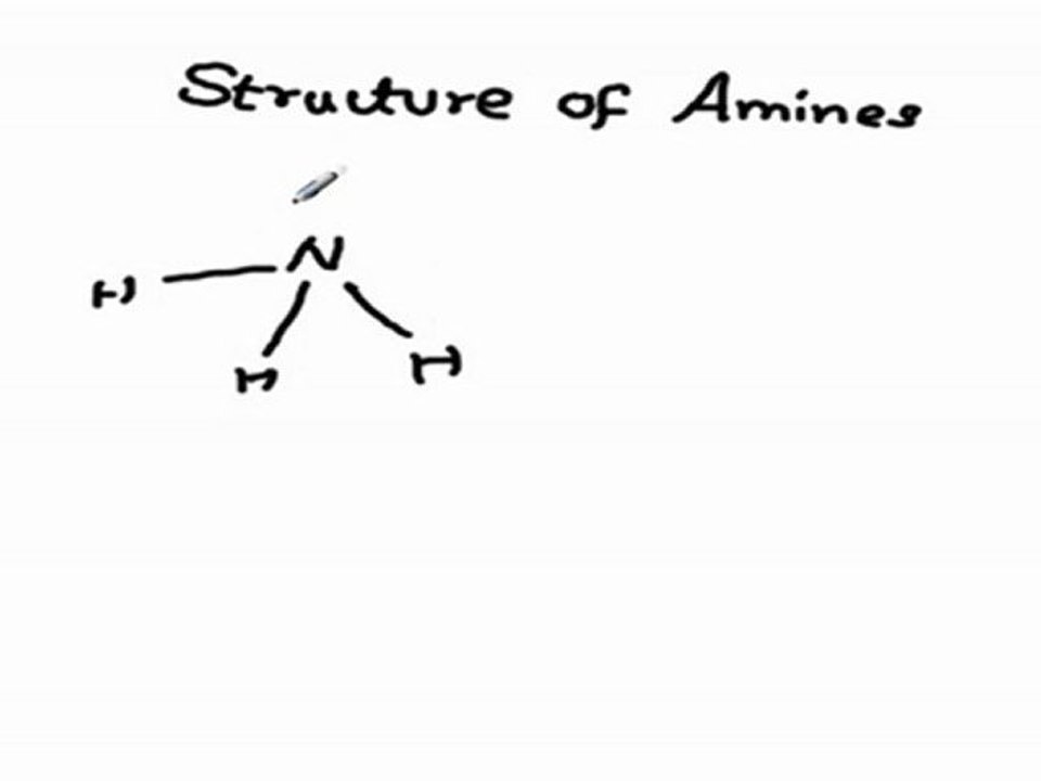 Structure of amines