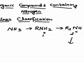 Amines Classification: Understand Organic Nitrogen Compounds 🧪