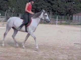 Farouk: A Brief Overview