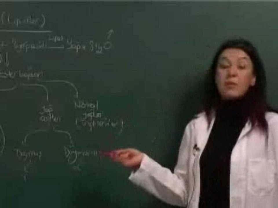 Organik ve İnorganik Bileşikler | www.eBiyoloji.Org