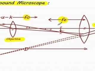 Microscope