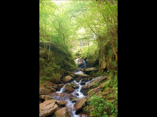 ALBUM PHOTOS CAMPING SAUVAGE IRATY