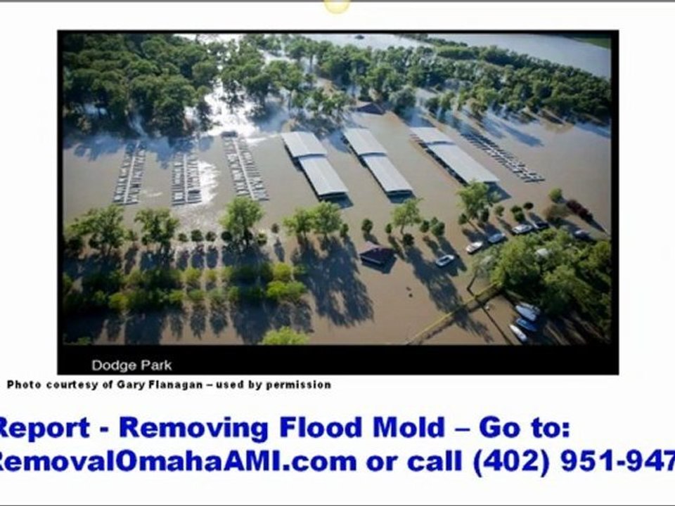 Omaha Mold Removal | Mold Removal Omaha