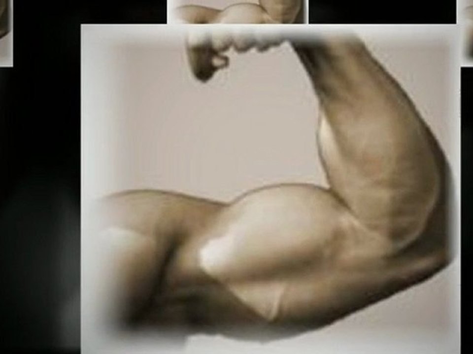 exercices pour les bras