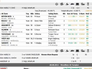 28 AĞUSTOS İSTANBUL YARIŞLARI