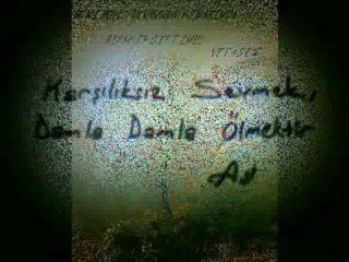 canımdan can iste