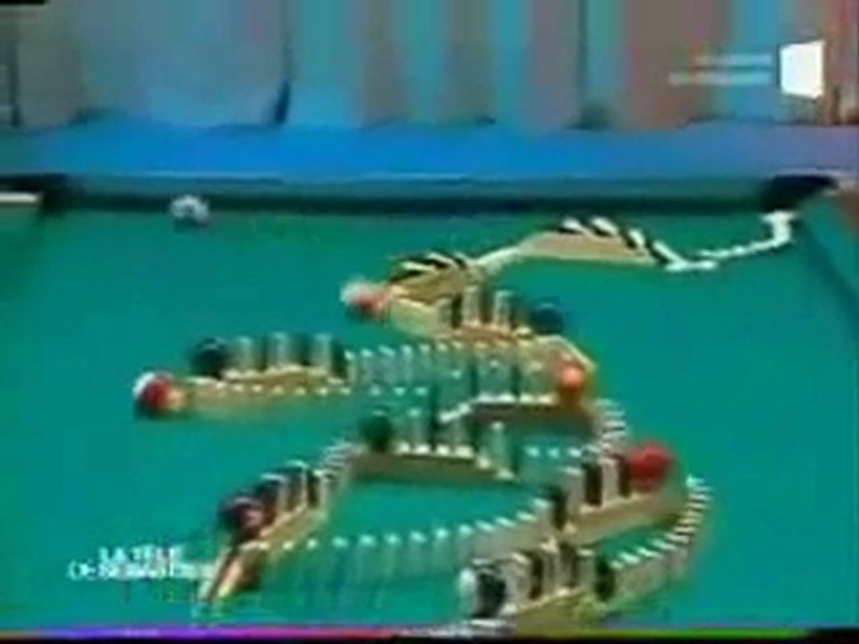 نجيب عيسى الضاوي
