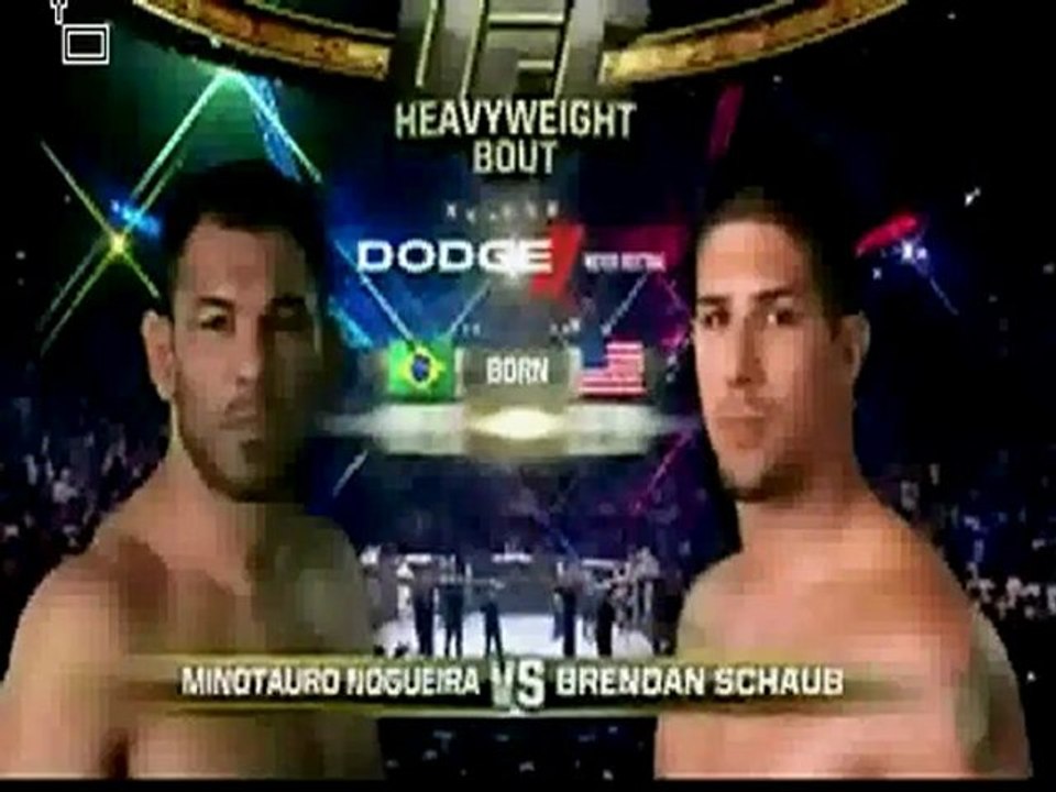 Antonio Rodrigo Nogueira vs Brendan Schaub video