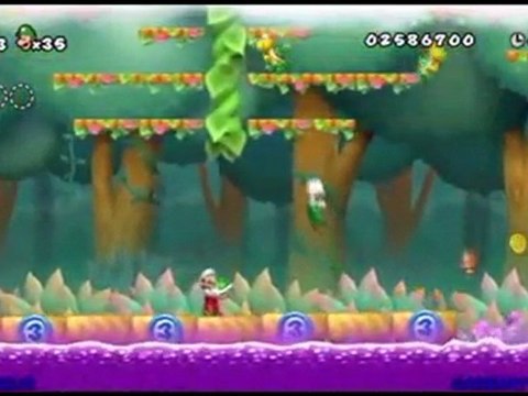 New Super Mario Bros Wii 2p Co Op World 5