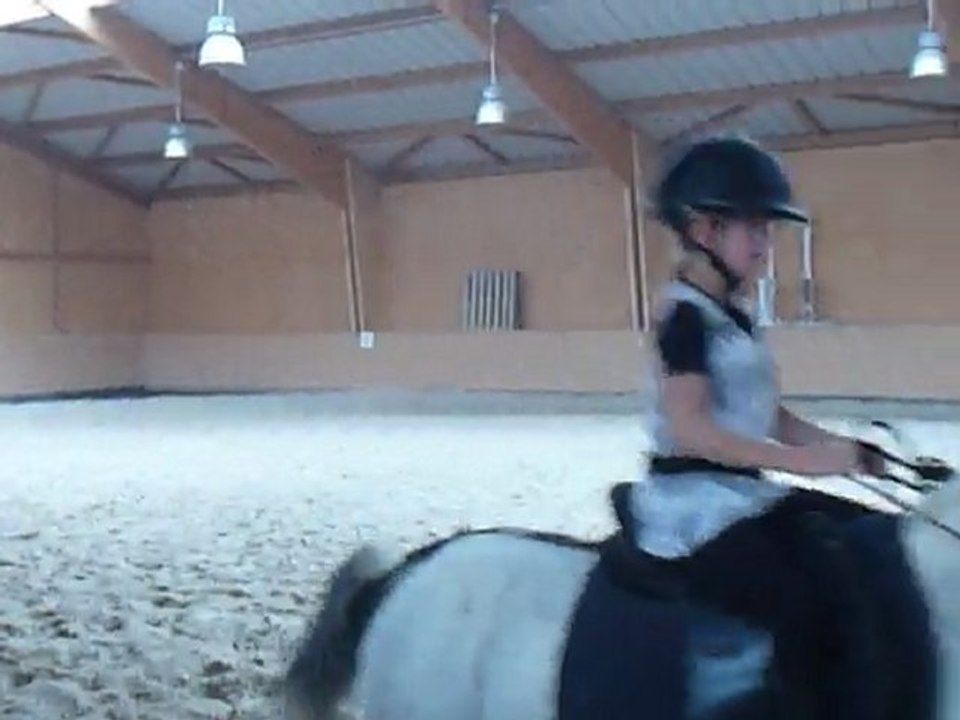 P1440604 HABAS LANDES ECURIES D'ANKARIA