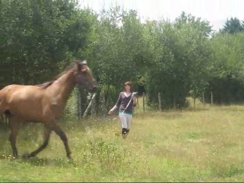 Notre évolution , celle qui marque à jamais, lui, moi, nous!