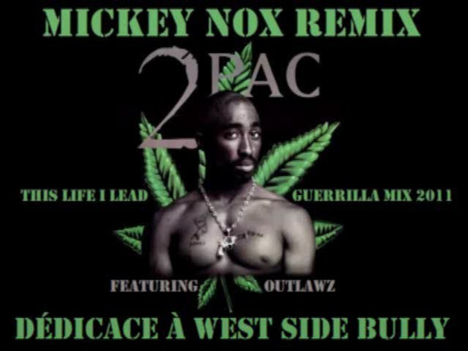 2Pac & Outlawz - This Life I Lead / Guerrilla Mix 2011 (Remix By MickeyNox)