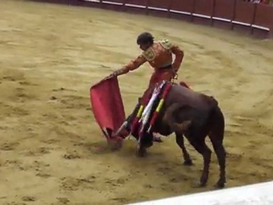 Becerrada Fernando Rey