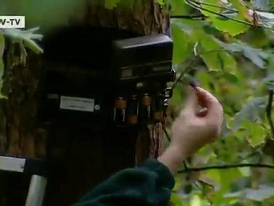 Local Life - Communities around Europe: Episode 5 | European Journal