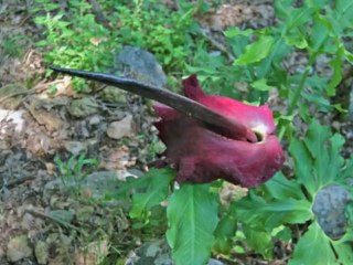 Путешествие в Метеоры