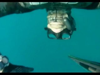 les recifs de GRUISSAN en chasse sous-marine