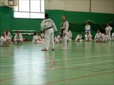Nihon Tai Jitsu et taekwondo. Échange Stage Oléron Boyardville 2011