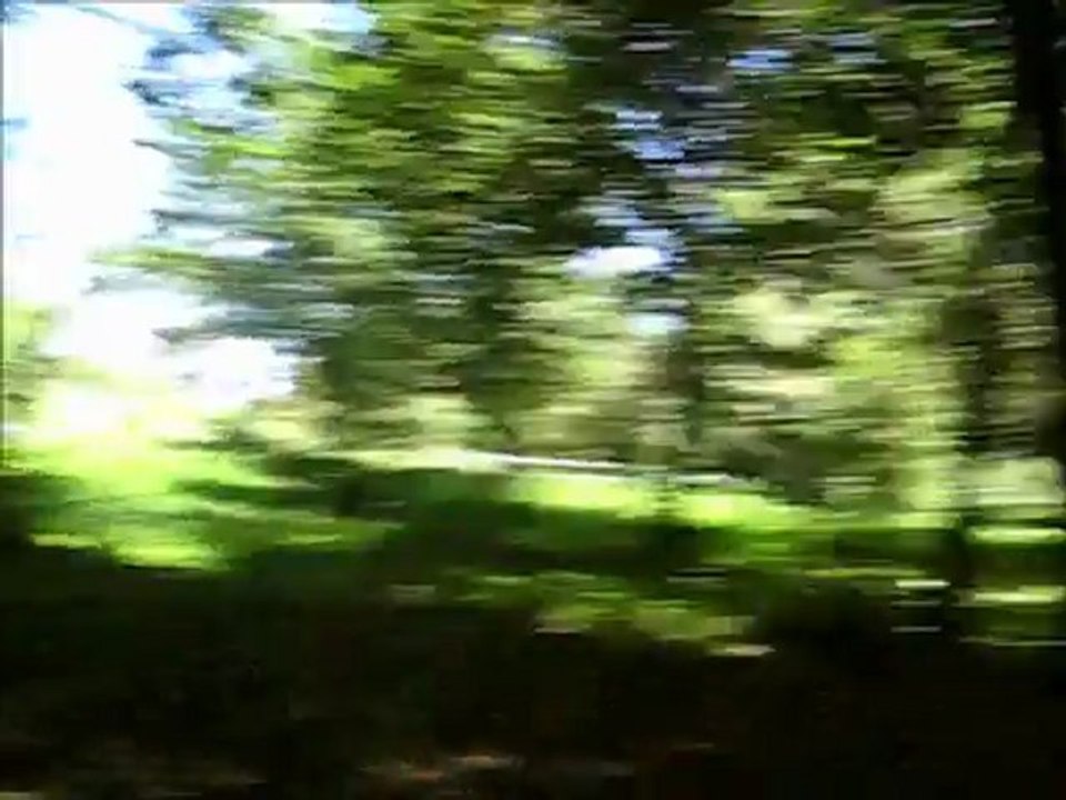 Les terres et Douchka et les poulains ETE 2011