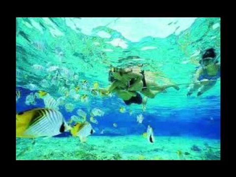 USVI Boat Tours - Seeing Trunk Bay On a USVI Boat Tour