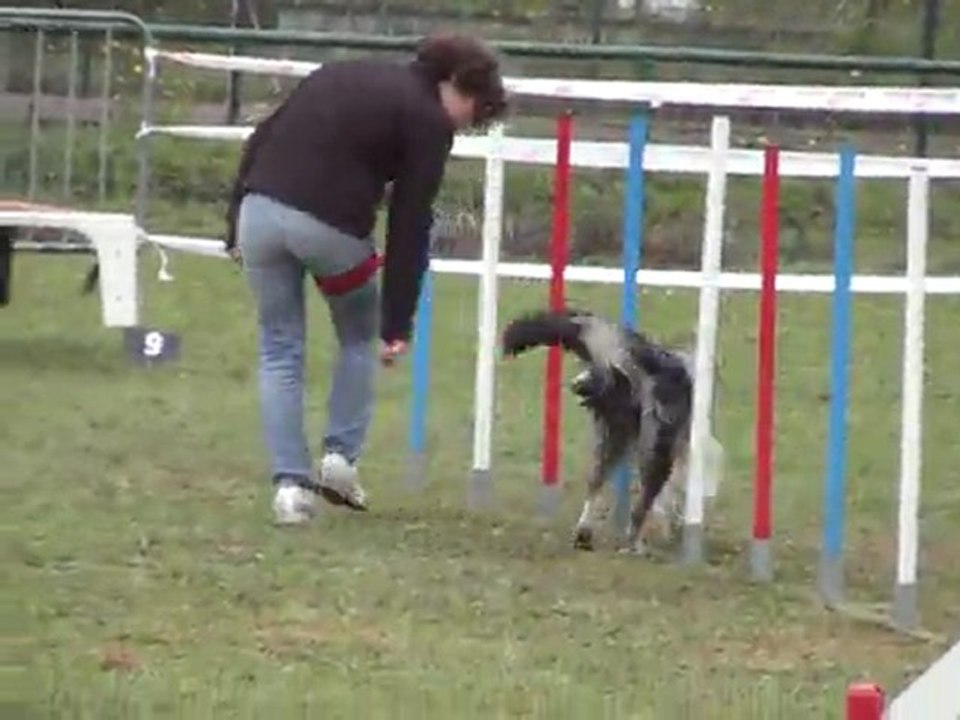 solidaritéagility