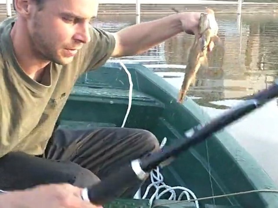 préparation de la péche au silure