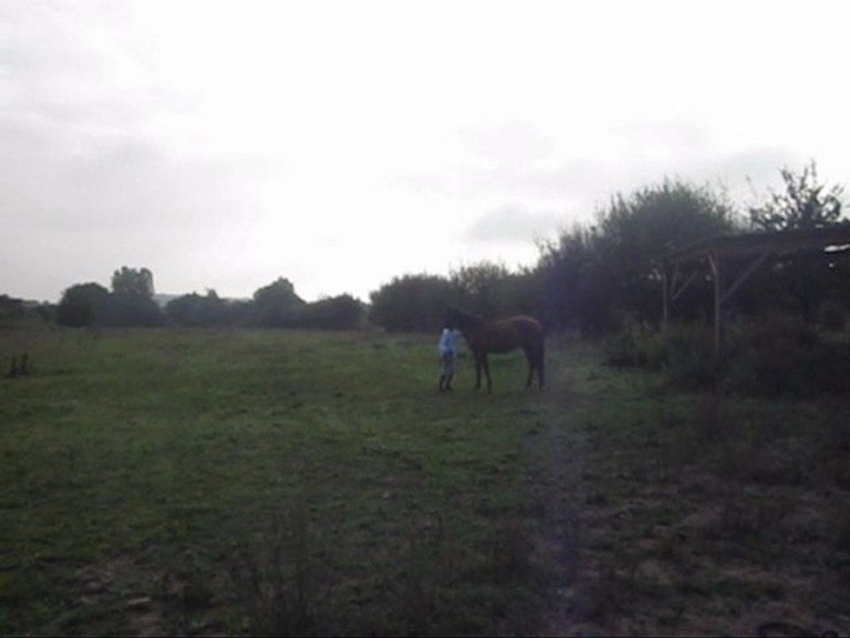 Bidouhhh en longe :D( encore des progrès à faire :p)