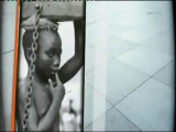Les esclaves oubliés :: L'histoire méconnue des traites négrières africaine et orientale