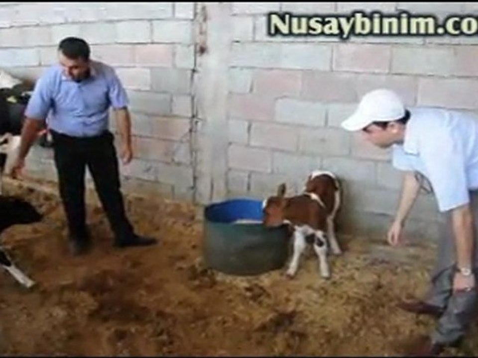 Nusaybin Bakacık - Kocadağ Tarımsal kalkınma kooperatifi