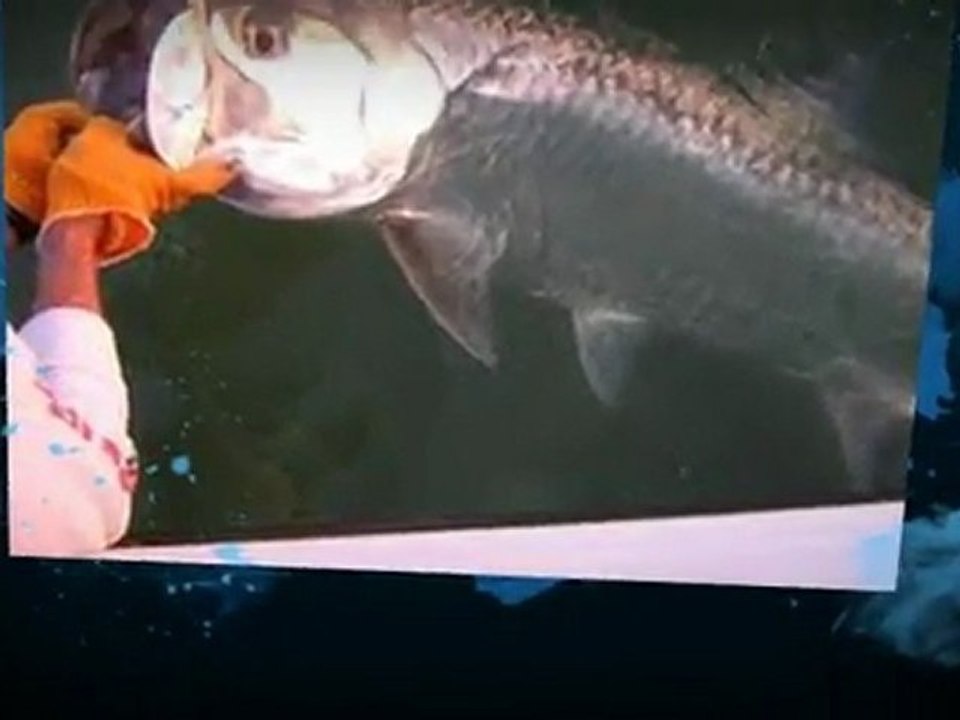 Sarasota AC Repair and Air Conditioning Replacements