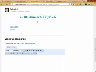 Installer U Extended Comment TinyMCE pour WordPress