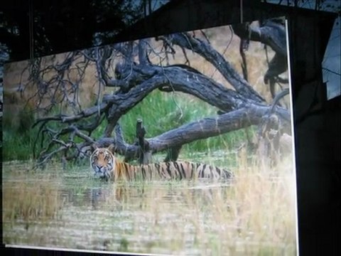 le festival photo de Montier 2010