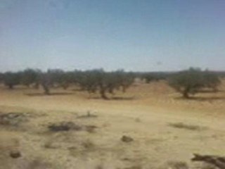 bir salah la hencha sfax tunisie