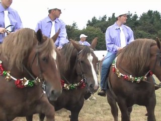Fête du Cheval de Loudéac 2011
