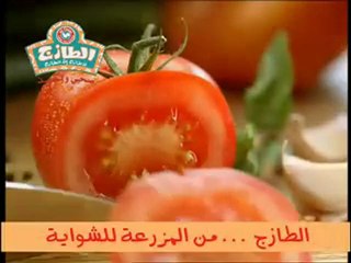 تسجيل حصري لبرنامج يوم في الجنة مع الشيخ محمود المصري19 رمضان 2011