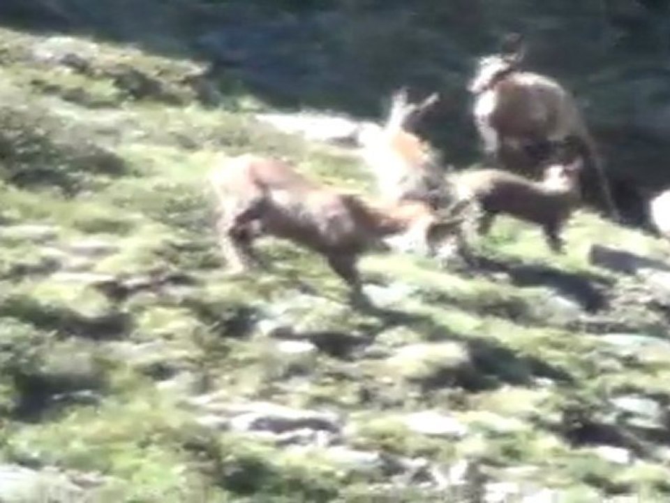 VACANCES 2011 - 30/06 - Pic de la Serrera