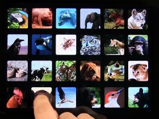 Let's Hear the Animals HD iPad App Demo - DailyAppShow