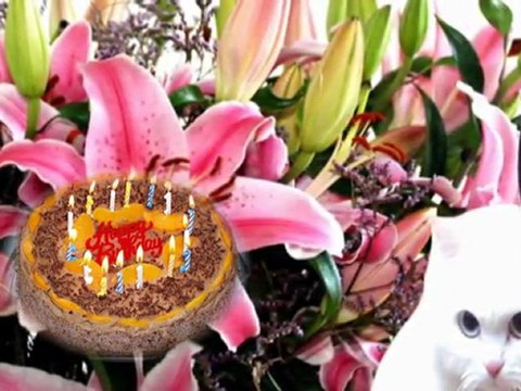 WaRda ღ♡ღ Agmal Warda ♫ راجعين ياأجمل وردة