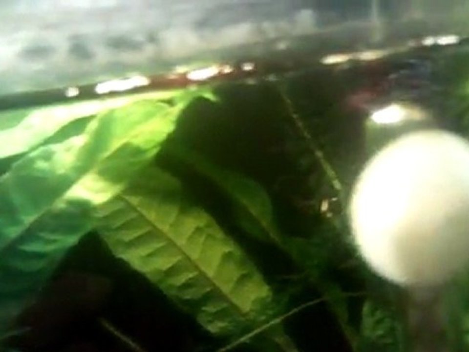 Sushi , 19-08