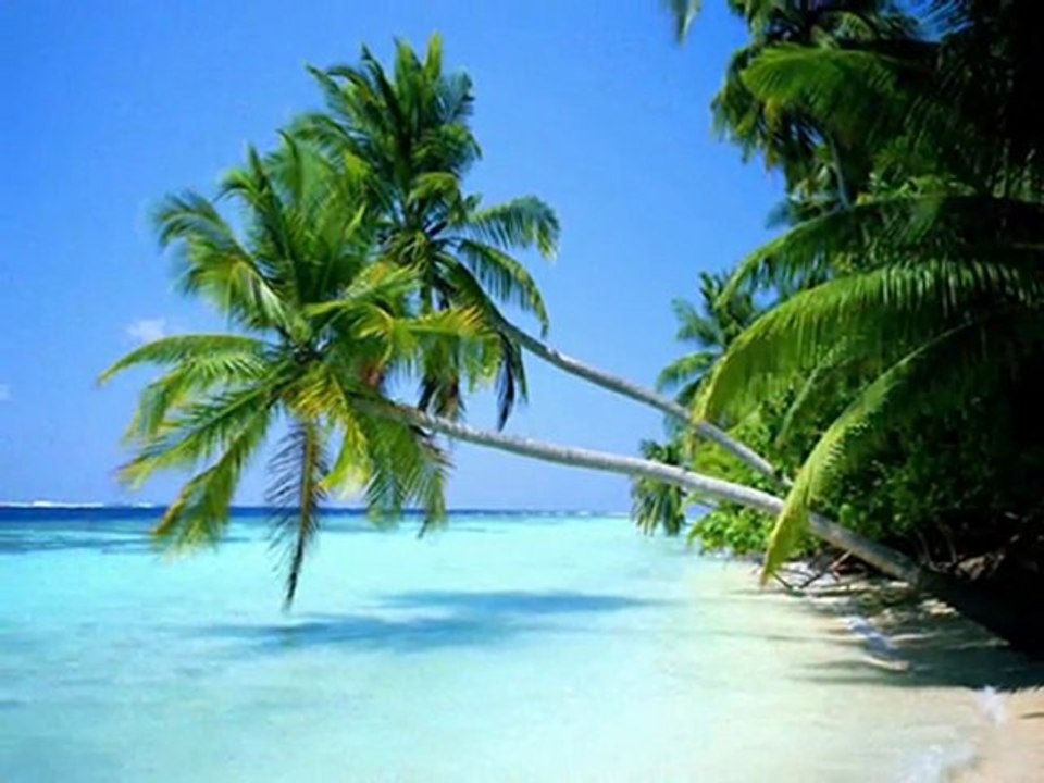 FELICIDADES TONY COSTA FELIZ CUMPLEAÑOS FELICIDADES 2011