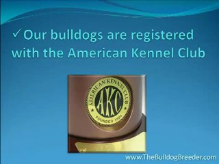 American Kennel Club