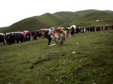 塔公赛马节 Tibetan Horse Racing Festival